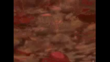 Naruto Mouvie