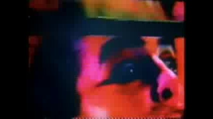 Diamanda Galas - Double Barrel Prayer