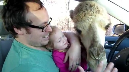 Малко момиче храни камил