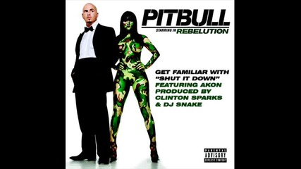 Pitbull Ft. Nayer - Pearly Gates