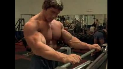 Arnold_ Арни :)