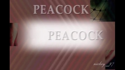 Blakee^^ Peacock |||