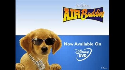 Air Buddies