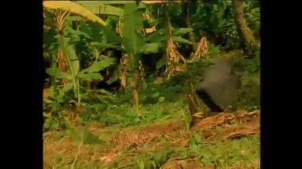 The Prodigy - Voodoo People (hq)