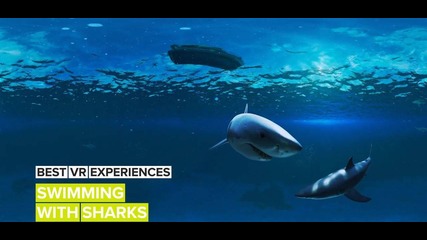 Best VR Experiences: Into the shark tank