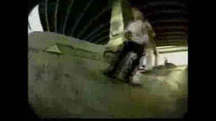 Bam Margera Skate