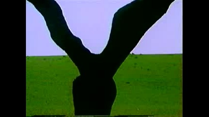 Depeche Mode - Enjoy The Silence