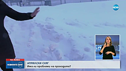 Първоаприлски сняг натрупа край прохода "Петрохан"