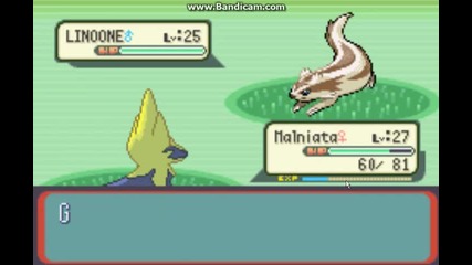 pokemon ruby s men Djcool #26