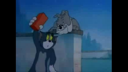 Tom & Jerry
