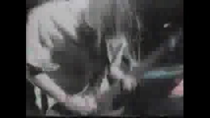 Korn - B.b.k.