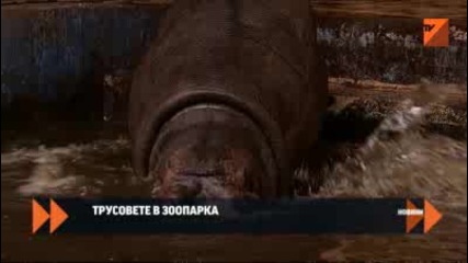 Трусовете в зоопарка