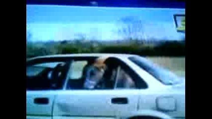 Господари на ефира - смях :)