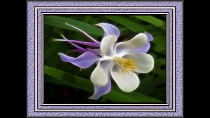 Hungarian Sonata - Richard Clayderman
