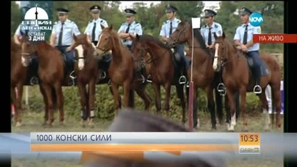 Откриха фестивала на конете с впечатляващо шоу