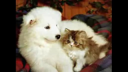 Kenny G - Endless Love