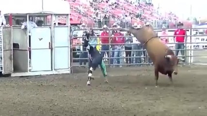 Майстори на коридата