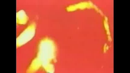 The Doors - The End - Live