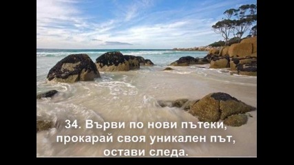 Причина, Опит, Гордост и Мечта... Благодаря Ви!