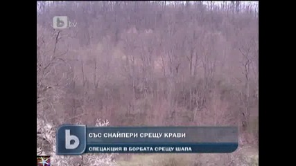 Със снайпери срещу крави, b T V Новините