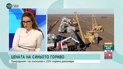 Рангелова: Очаква се да има ревизия надолу на цената на газа