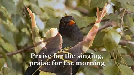 Yusuf Islam (cat Stevens) - Morning Has Broken (with lyrics)