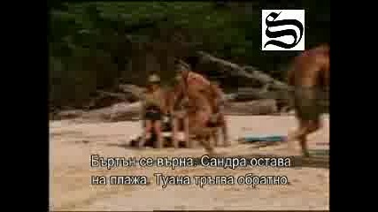 Survivor 7 (pearl Islands) - Изпитание - Пъзел