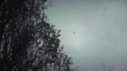 Bibio - Top Soil