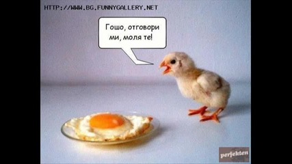 Малко Забавни Картинки