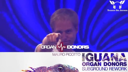 Mauro Picotto - Iguana ( Organ Donors Subground Rework ) Armin van Buuren Live @tomorrowland 2014