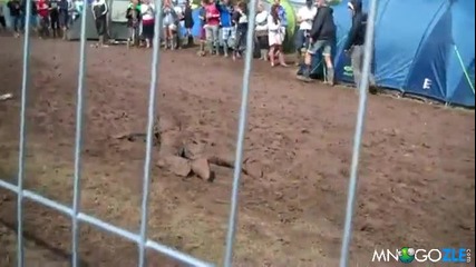 Алкохола Не Прощава !