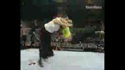 Lita Tribute 3