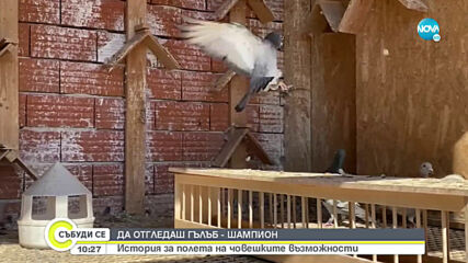 Видео - (2020-09-13 11:32:39)