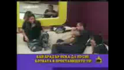 4cf59dfa.3gp