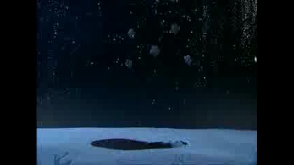 Animal Planet - The animals save the planet
