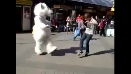 Мечка срещу Мъж Dance Battle