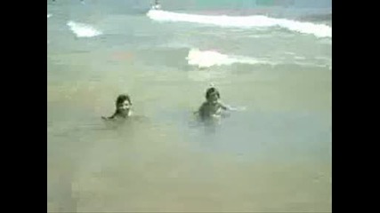 Deniz 2000