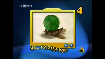 Господари На Ефира - Странни Хора.flv