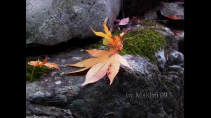 Kyoto Garden - Miyagi