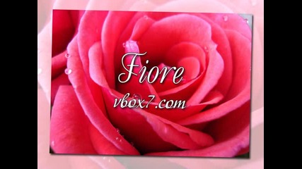12. Lara Fabian - " Perdere l'amore " /албум Pure/ 1996