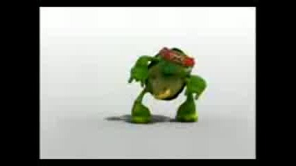 coolturtle p6t5qm8b 