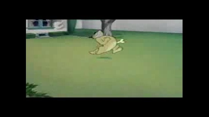 Tex Avery - The Counterfeit Cat