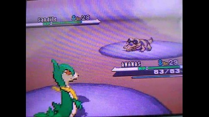 Pokemon Black and White Walkthrough part 25