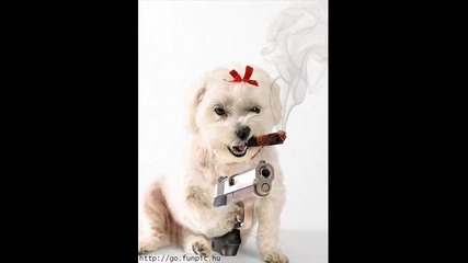 Устата И софи маринова - Com.press 