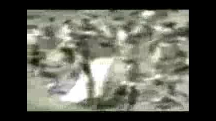 Мотор Се Врязва В Публиката
