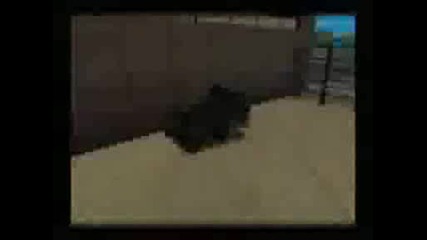 [sa]courage