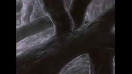 Wolfs Rain