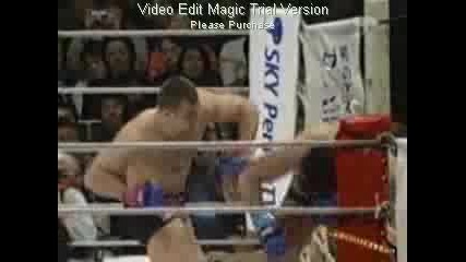 Mirko Crocop - Knockouts