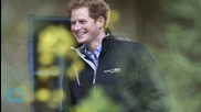 Queen Elizabeth Gives Prince Harry a Knighthood