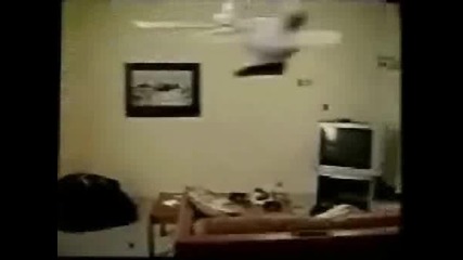 Котешка Въртележка